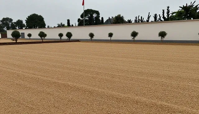 运输环节中冷链温度失控对农产品销售的影响分析